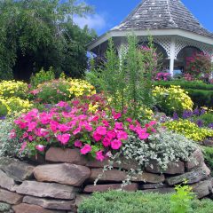 Guzman's Garden Centers