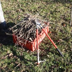 Tools for pruning trees