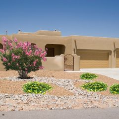 Desert Front Yard Landscaping Ideas