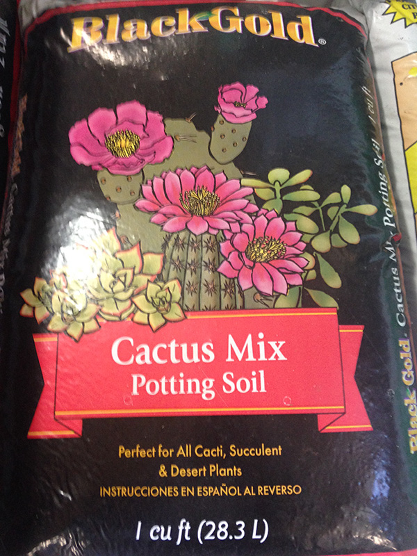 cactus-mix