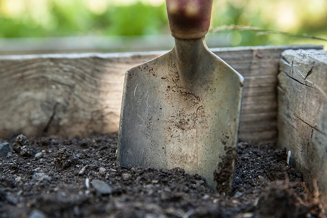 Preparing garden for fall