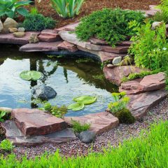 Pond in landscape design.