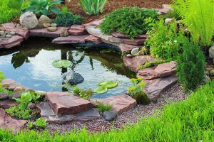 Types of landscape design