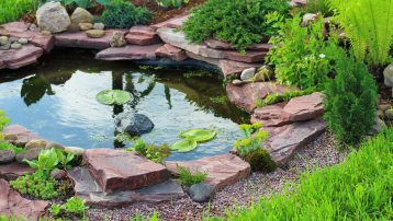 Pond in landscape design.