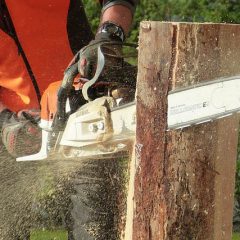 Chainsaw in the garden