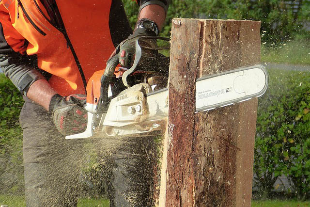 Chainsaw in the garden