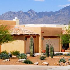 Xeriscape landscaping ideas