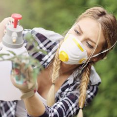 Adult woman spraying plants in garden to protect from diseases