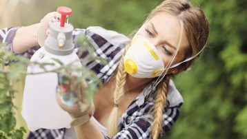 Adult woman spraying plants in garden to protect from diseases