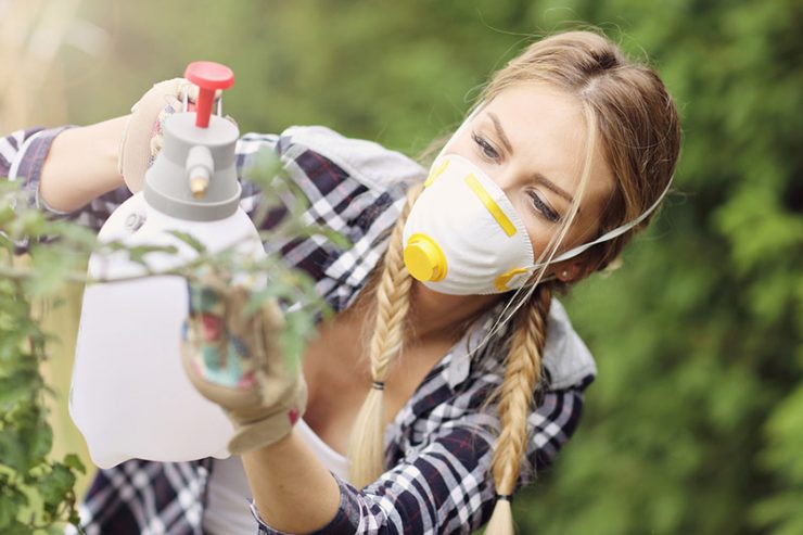 Adult woman spraying plants in garden to protect from diseases