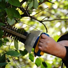 The Benefits of gas hedge trimmers