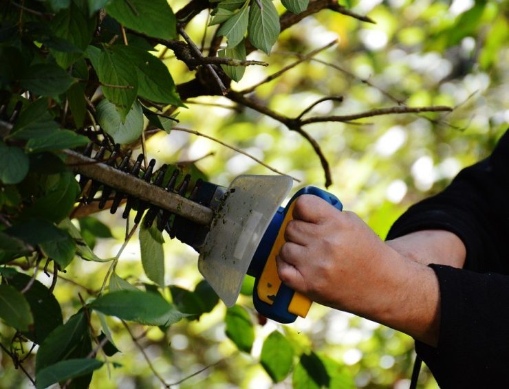 The Benefits of gas hedge trimmers