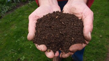 Composting Mistakes