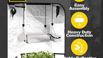 Best Hydroponic Grow Tent Review