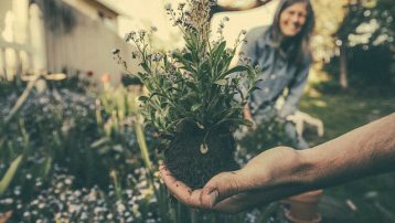 The Glory of Gardening