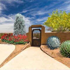 Southwest front yard landscape