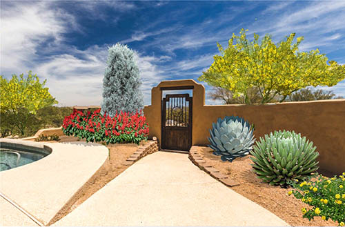 Southwest front yard landscape