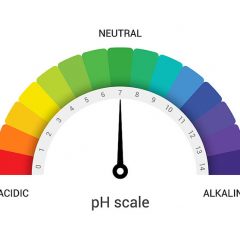 Changing pH in Soil - Acid or Alkaline Conditions