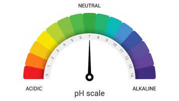 Changing pH in Soil - Acid or Alkaline Conditions