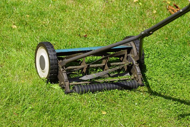 Sharpen Blades on Lawn Mower