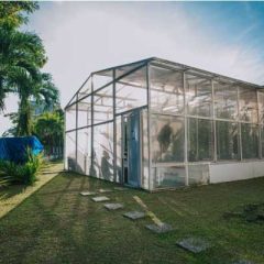 Best Greenhouse Floors