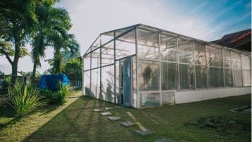 Best Greenhouse Floors