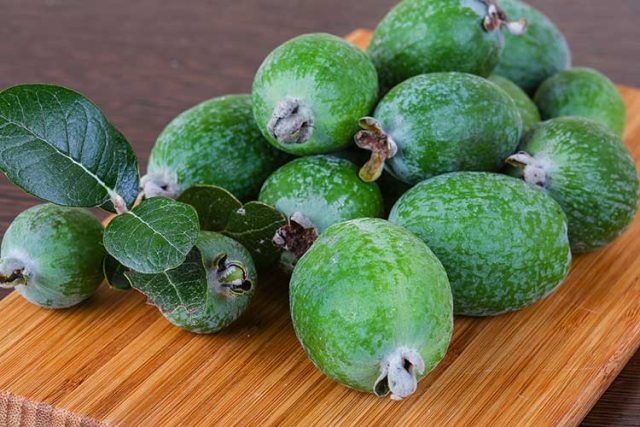 Fruit of the Pineapple guava 