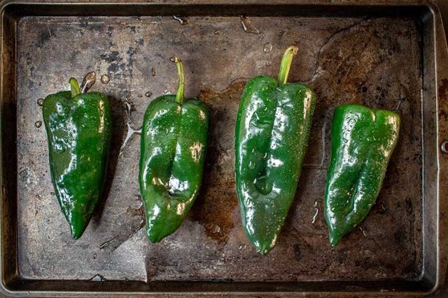 Grow your Own Chile Peppers - Habaneros Peppers