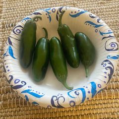 Grow Your Own Chile Peppers