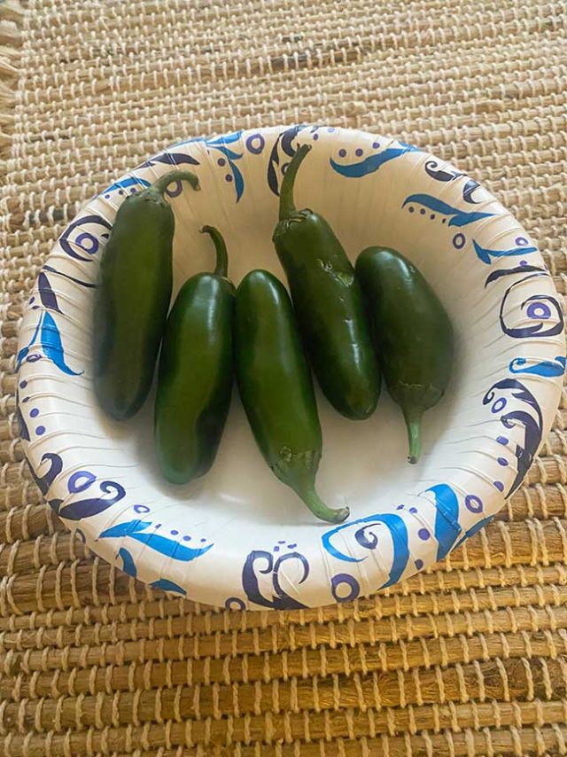 Jalapenos ready to eat