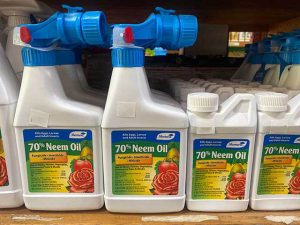 List of Organic Pesticides for Pest Control