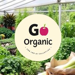 List of Organic Pesticides